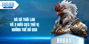 da-ga-thai-lan-va-3-dieu-cuc-thu-vi-khong-the-bo-qua