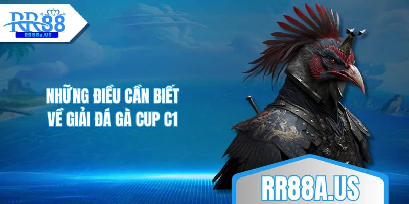 Những điều cần biết về giải đá gà CUP C1